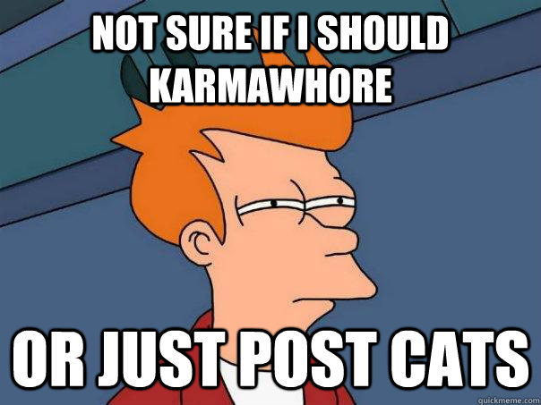 Not sure if I should Karmawhore or just post cats  Futurama Fry