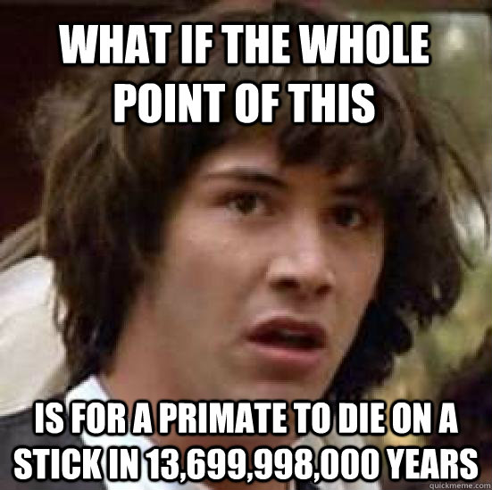 what if the whole point of this is for a primate to die on a stick in 13,699,998,000 years - what if the whole point of this is for a primate to die on a stick in 13,699,998,000 years  conspiracy keanu
