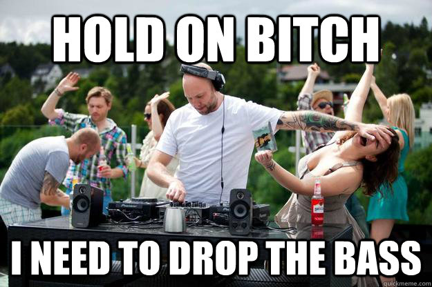 Hold on bitch I need to drop the bass - Hold on bitch I need to drop the bass  Misc