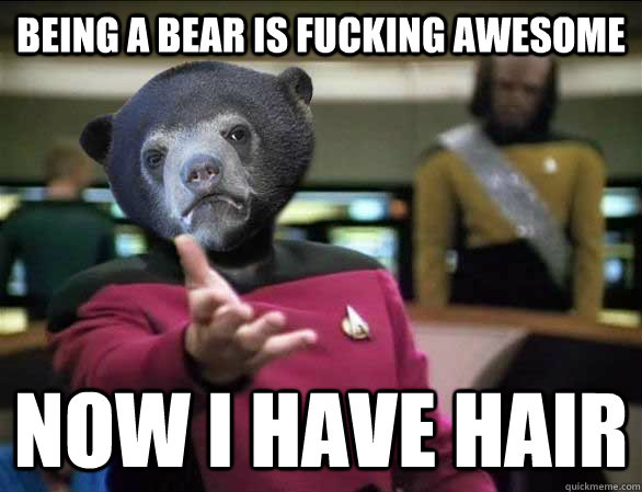 Being a bear is fucking awesome now I have hair  