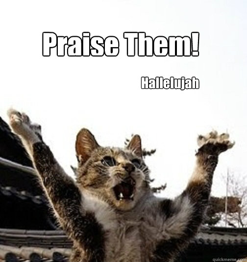 Praise Them! Hallelujah - Praise Them! Hallelujah  praise cats