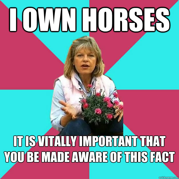I own horses It is vitally important that you be made aware of this fact  