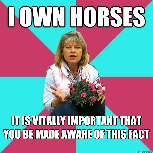 I own horses It is vitally important that you be made aware of this fact - I own horses It is vitally important that you be made aware of this fact  SNOB MOTHER-IN-LAW