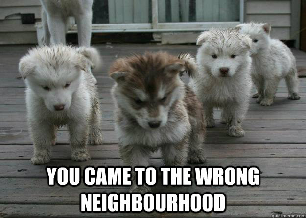  You came to the wrong neighbourhood -  You came to the wrong neighbourhood  Misc