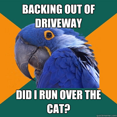 Backing out of driveway Did I run over the cat?  Paranoid Parrot