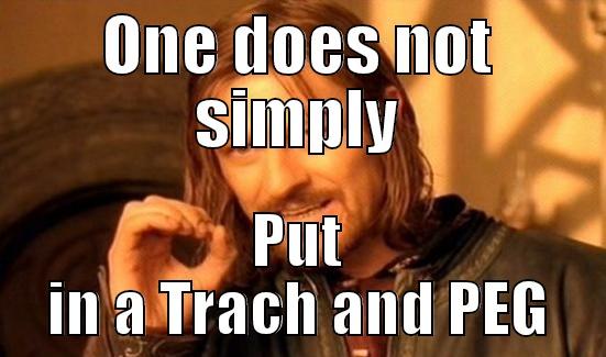 ONE DOES NOT SIMPLY PUT IN A TRACH AND PEG Boromir