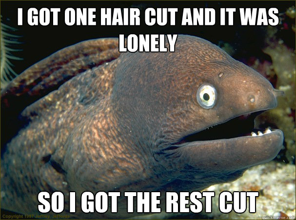 I got one hair cut and it was lonely so I got the rest cut - I got one hair cut and it was lonely so I got the rest cut  Bad Joke Eel