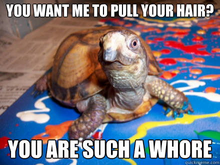 you want me to pull your hair? you are such a whore - you want me to pull your hair? you are such a whore  Sexually Awkward Turtle