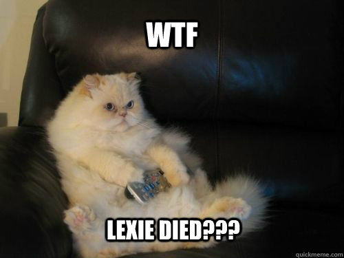 WTF LEXIE DIED???  Disapproving TV Cat