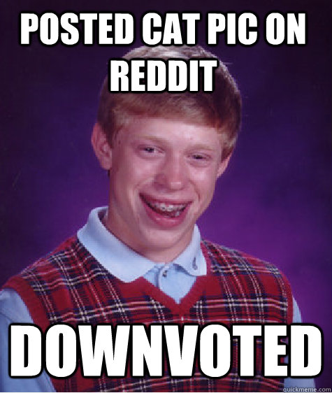 Posted cat pic on reddit Downvoted  Bad Luck Brain