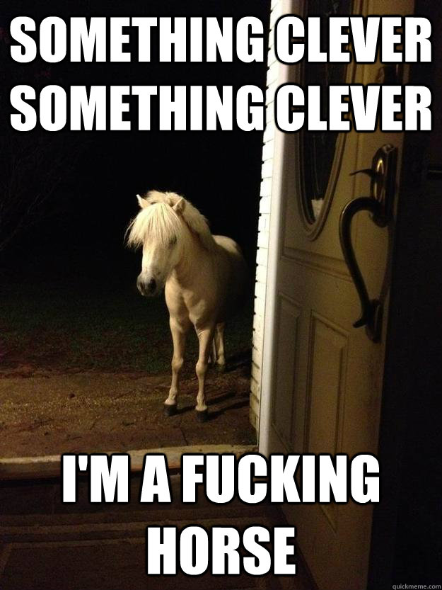 Something clever Something clever I'm a fucking horse  