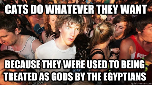 Cats do whatever they want Because they were used to being treated as gods by the egyptians  Sudden Clarity Clarence