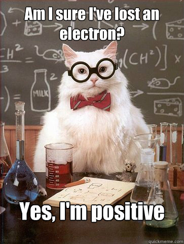 Am I sure I've lost an electron? Yes, I'm positive - Am I sure I've lost an electron? Yes, I'm positive  Science Cat