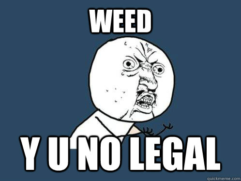 Weed y u no legal  Y U No