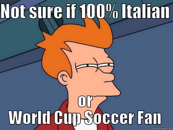 NOT SURE IF 100% ITALIAN  OR WORLD CUP SOCCER FAN Futurama Fry
