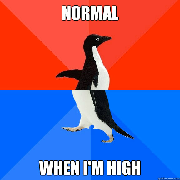 normal when i'm high  Socially Awesome Awkward Penguin