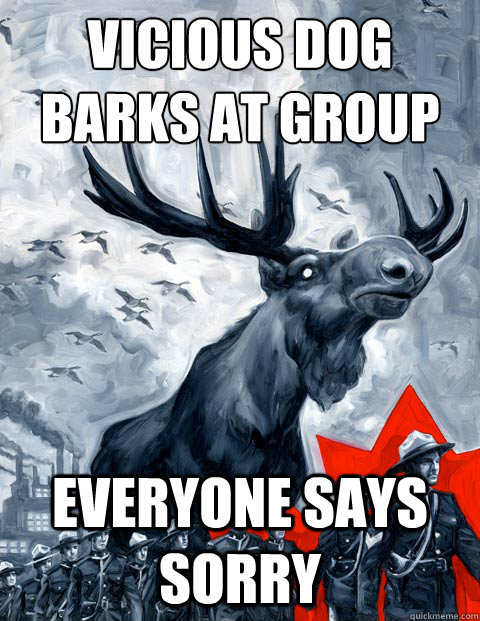 Vicious dog barks at group Everyone says sorry  Canada Day