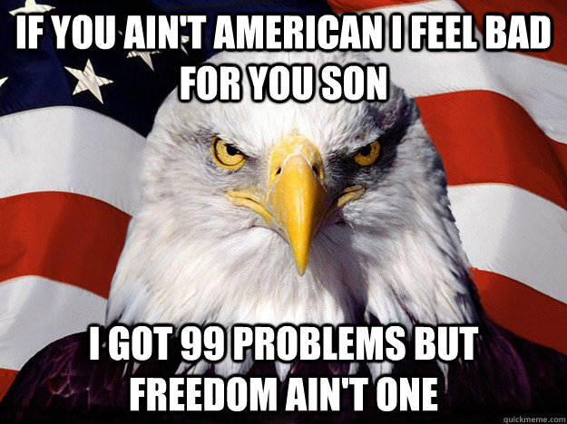 If you ain't American I feel bad for you son I got 99 problems but freedom ain't one  Evil American Eagle