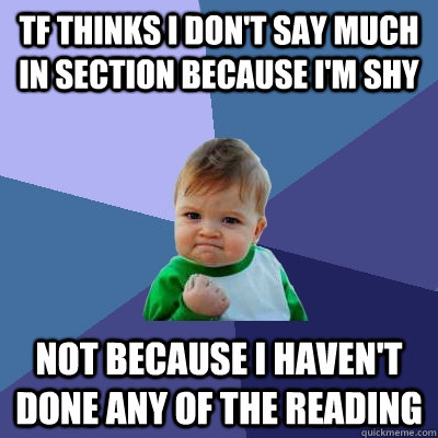 tf thinks i don't say much in section because i'm shy not because i haven't done any of the reading  Success Kid