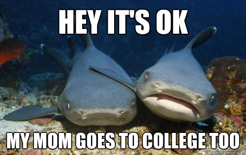 hey it's ok my mom goes to college too  Compassionate Shark Friend