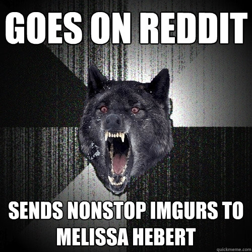 Goes on reddit sends nonstop imgurs to melissa hebert  Insanity Wolf