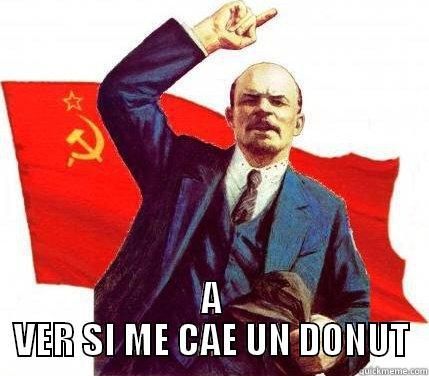  A VER SI ME CAE UN DONUT Misc