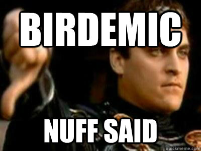 Birdemic Nuff said  Downvoting Roman
