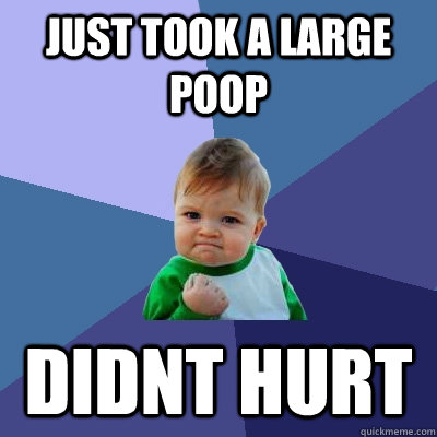 just took a large poop didnt hurt  Success Kid