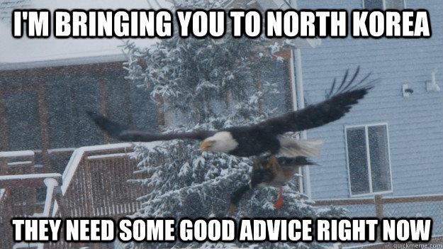 I'm bringing you to north korea they need some good advice right now - I'm bringing you to north korea they need some good advice right now  Actual Advice Mallard