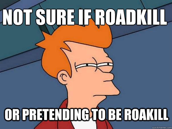 not sure if roadkill or pretending to be roakill  Futurama Fry
