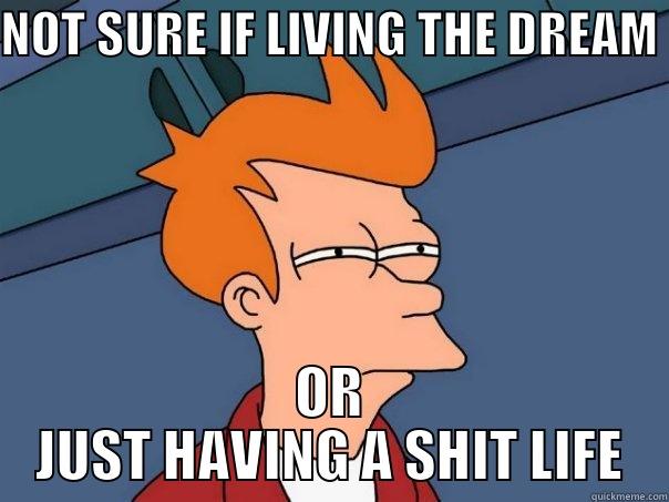 NOT SURE IF LIVING THE DREAM OR JUST HAVING A SHIT LIFE Futurama Fry