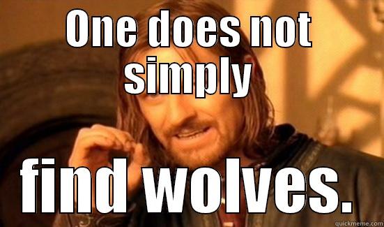 ONE DOES NOT SIMPLY FIND WOLVES. Boromir