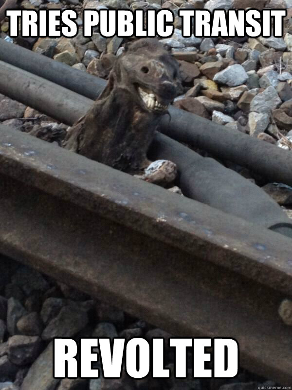tries public transit revolted - tries public transit revolted  bad luck badger
