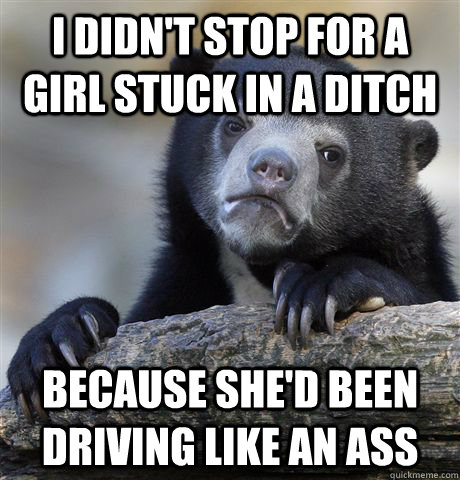 I didn't stop for a girl stuck in a ditch because she'd been driving like an ass - I didn't stop for a girl stuck in a ditch because she'd been driving like an ass  Confession Bear