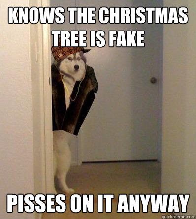 KNOWS THE CHRISTMAS TREE IS FAKE PISSES ON IT ANYWAY  Scumbag dog