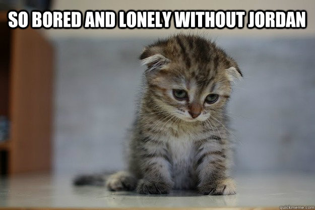 so bored and lonely without jordan  Sad Kitten