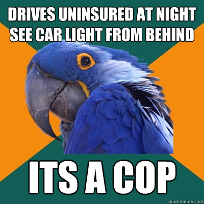 drives uninsured at night see car light from behind its a cop  Paranoid Parrot