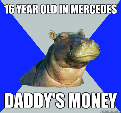 16 year old in mercedes daddy's money  Skeptical Hippo