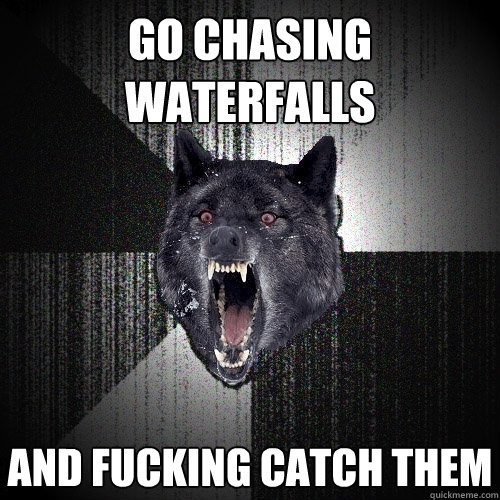 Go chasing waterfalls and fucking catch them  Insanity Wolf