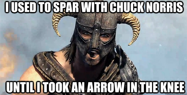 I used to spar with Chuck Norris Until I took an arrow in the knee  skyrim