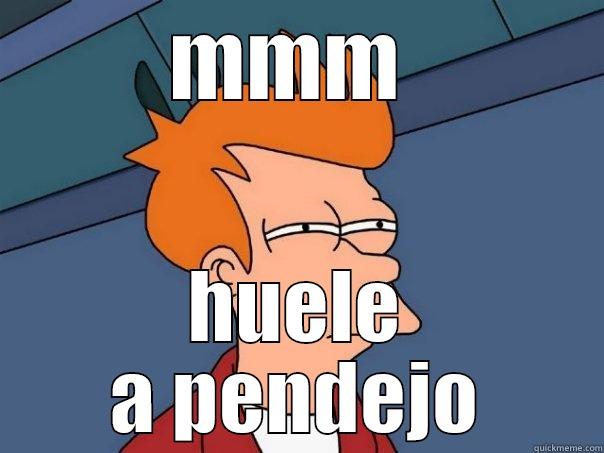 MMM  HUELE A PENDEJO Futurama Fry