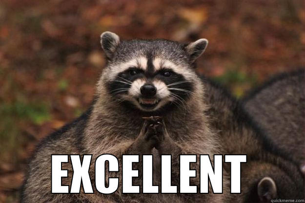  EXCELLENT Evil Plotting Raccoon