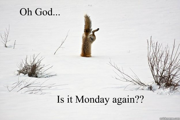 Oh God... Is it Monday again?? - Oh God... Is it Monday again??  Fox in the Hole