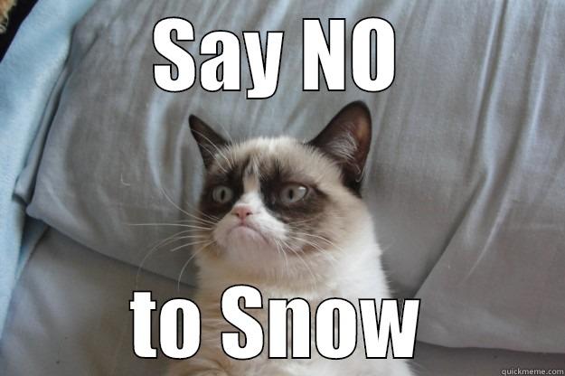 SAY NO TO SNOW Grumpy Cat