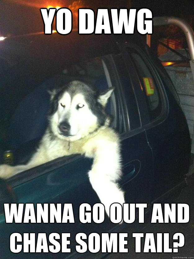 Yo dawg wanna go out and chase some tail?  Mean Dog