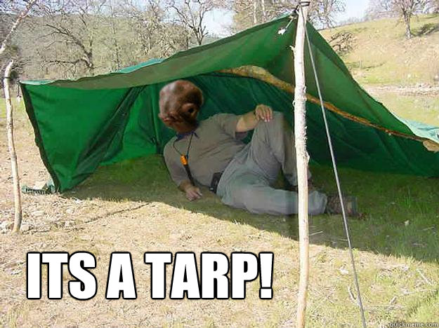 ITS A TARP! - ITS A TARP!  ITS A TARP!