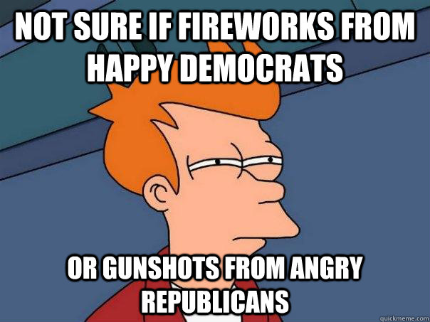 NOT SURE IF FIREWORKS FROM HAPPY DEMOCRATS OR GUNSHOTS FROM ANGRY REPUBLICANS - NOT SURE IF FIREWORKS FROM HAPPY DEMOCRATS OR GUNSHOTS FROM ANGRY REPUBLICANS  Misc