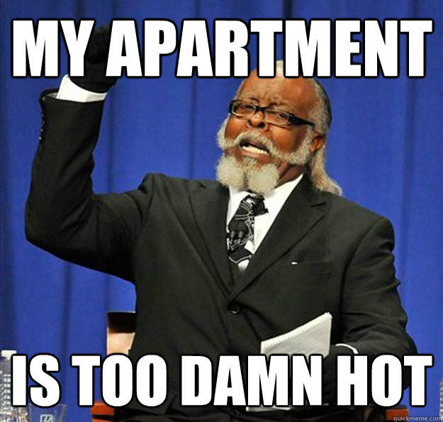 My Apartment Is too damn hot  Jimmy McMillan