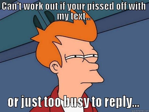 CAN'T WORK OUT IF YOUR PISSED OFF WITH MY TEXT... OR JUST TOO BUSY TO REPLY... Futurama Fry