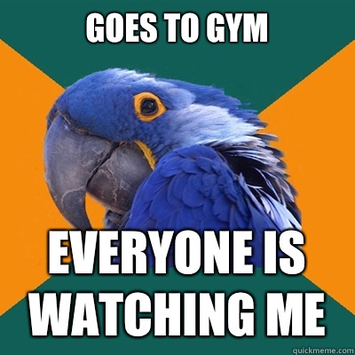 Goes to gym EVERYONE IS Watching ME  Paranoid Parrot